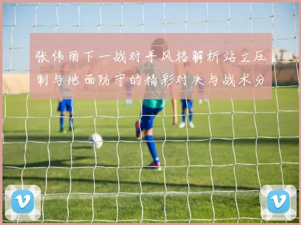 张伟丽下一战对手风格解析站立压制与地面防守的精彩对决与战术分析