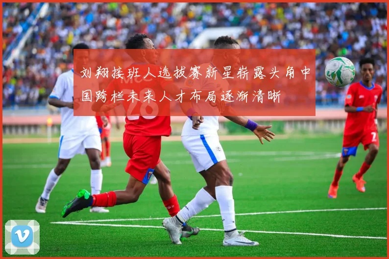 刘翔接班人选拔赛新星崭露头角中国跨栏未来人才布局逐渐清晰