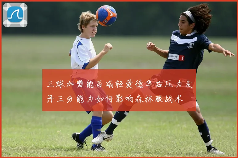 三球加盟能否减轻爱德华兹压力麦丹三分能力如何影响森林狼战术